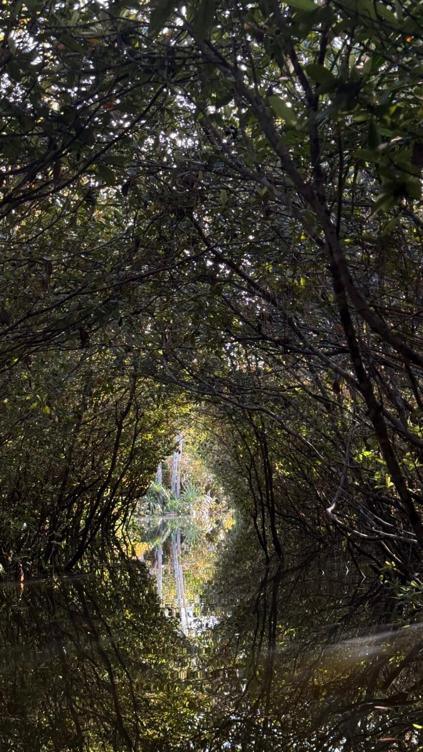 CONHEÇA ALTER DO CHÃO NA POUSADA CASA DO RIO AMBAR-4