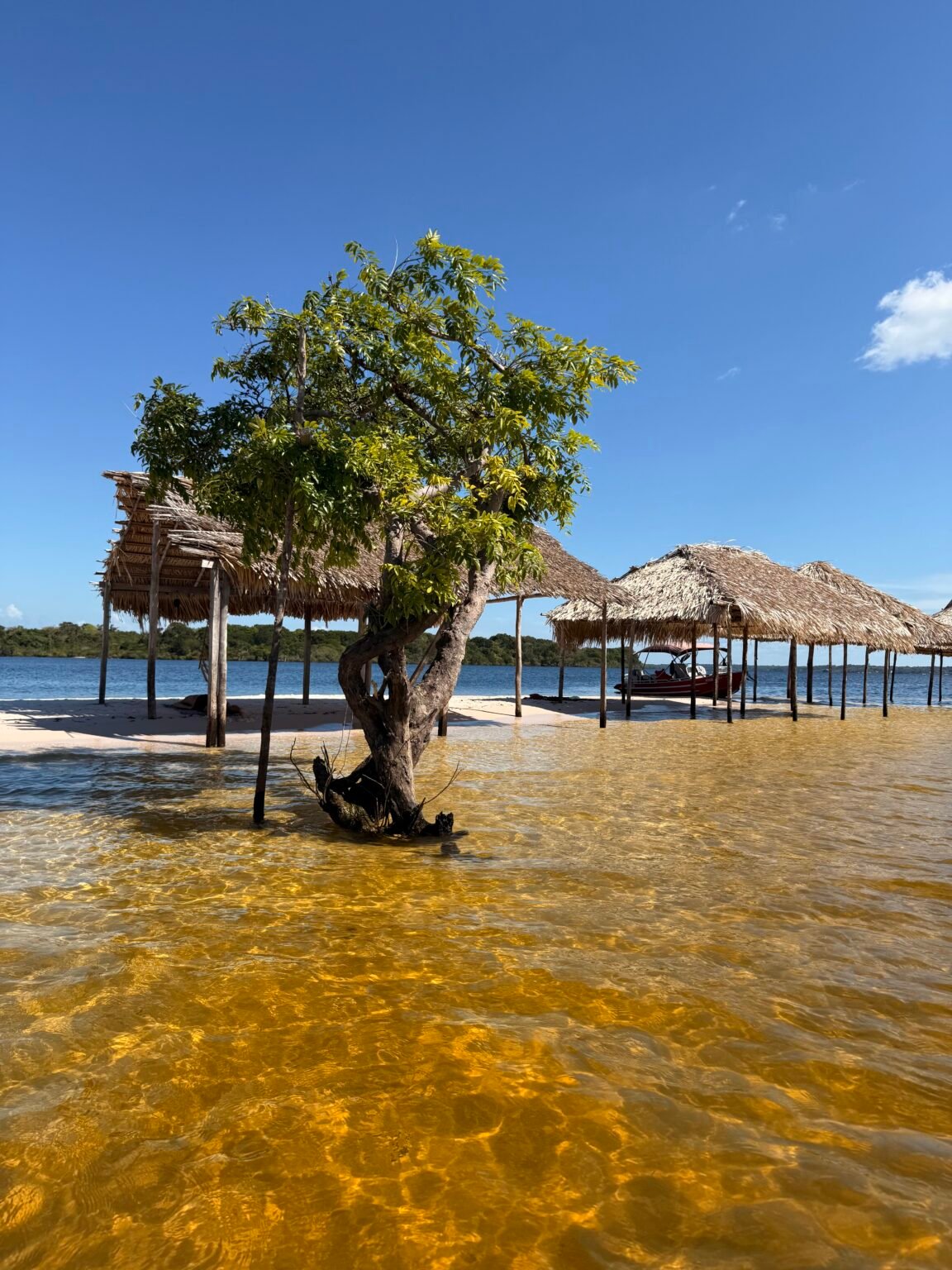 CONHEÇA ALTER DO CHÃO NA POUSADA CASA DO RIO AMBAR-5-P