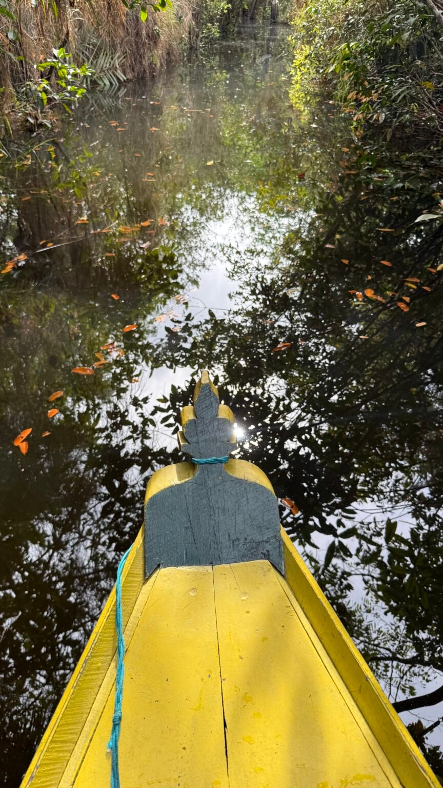 CONHEÇA ALTER DO CHÃO NA POUSADA CASA DO RIO AMBAR